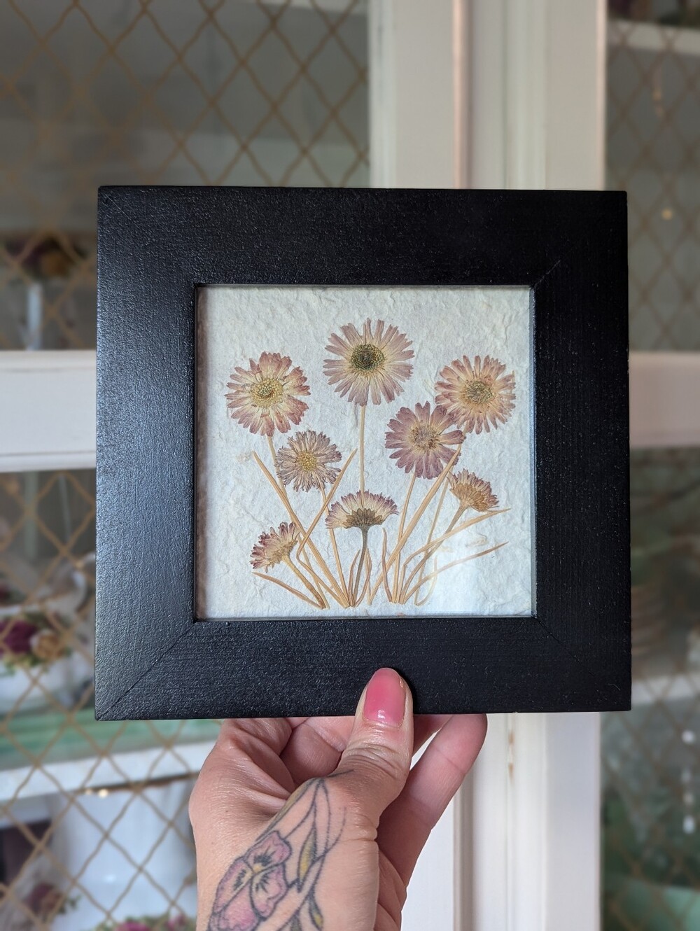 VTG 90s Cottagecore Framed Pressed Daisy Art Cream Flowers Innocence Canada